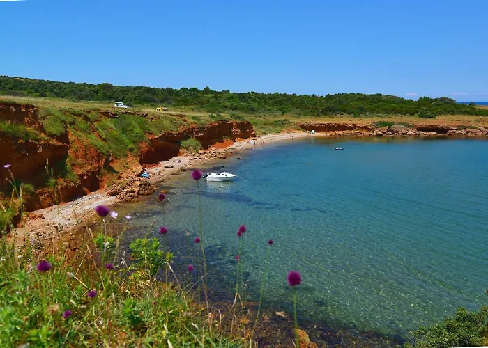 Premium Virotel 维尔